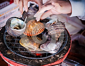 Grilled Sea Shells, Ehime, Hiroshima, Japan