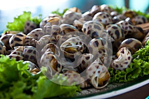 Grilled sea snail