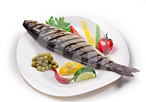 Grilled seabass