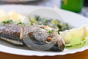 Grilled seabass photo