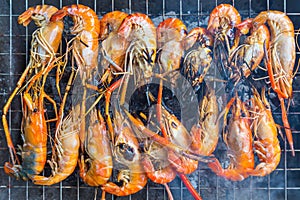 Grilled Shrimp