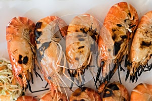 Grilled shrimp. Seafood, shelfish.