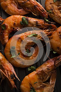 Grilled shrimps with tomato sauce