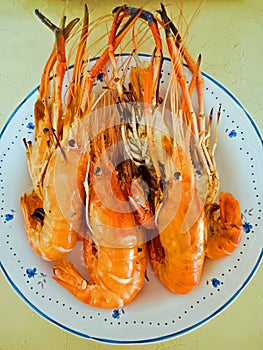 Grilled shrimps in white plate