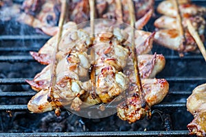 Grilled Skewer chicken and leg of chicken stick thai style barbeque on stove