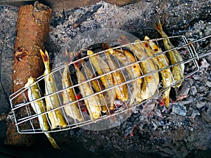 grilled smelt fish