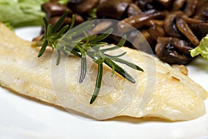 Grilled sole fish