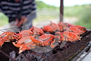 Grilled spanner crab (red frog crab) photo