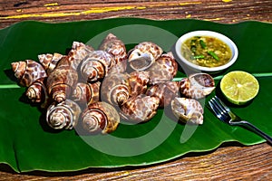 Grilled Spiral babylon snail with spicy sauce on a banana leaf. photo