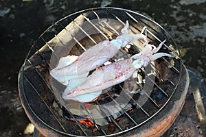 Grilled splendid squid fresh from the sea and safe from formalin