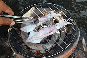 Grilled splendid squid fresh from the sea and safe from formalin