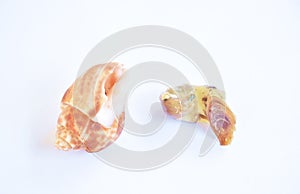 Grilled spotted or areola Babylon from shell on white background
