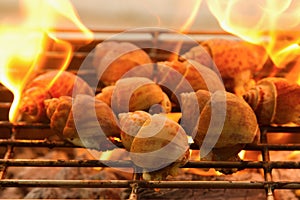 Grilled spotted babylon shell on flaming