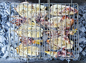 Grilled Squid