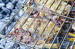 Grilled Squid