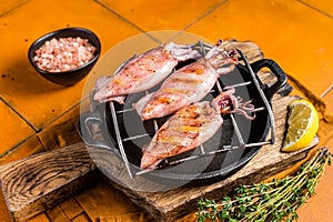 Grilled squid, calamary on a hot flaming. Orange background. Top view