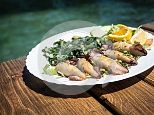 Grilled squid with potatoes and chard on white plate with sea on background.