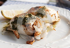 Grilled squid with special Canarian sauce mojo photo