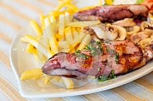 Grilled squids / calamari