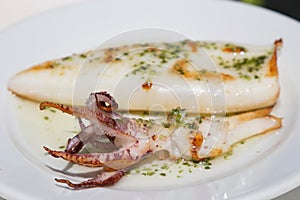 Grilled squids on plate Spain