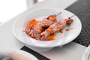 Grilled Squids on wooden sticks on white plate in spicy sause. A dish of Chinese cuisine.