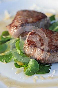 Grilled steak on lettuce