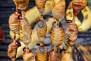 Grilled Suri worms photo