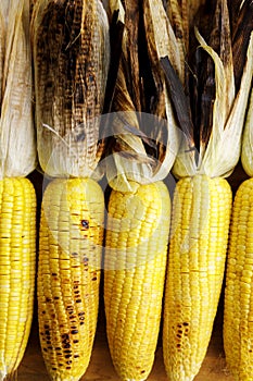 Grilled sweet corn on wooden board