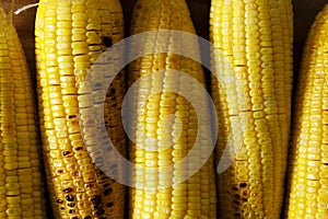 Grilled sweet corn on wooden board