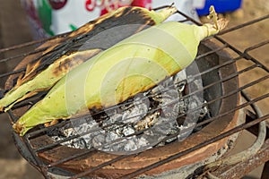 Grilled sweet corns on hot charcoal brazier