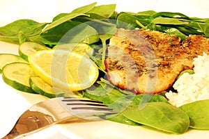 Grilled tilapia fish