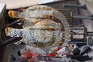 Grilled tilapia fish salted on stove