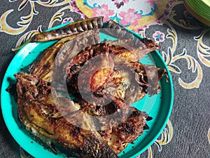 Grilled tilapia with grilled spices