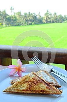 Grilled triangle sandwich with tuna and peanut butter fillin photo