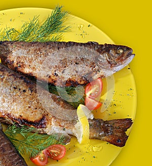 Grilled trout