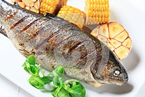 Grilled trout