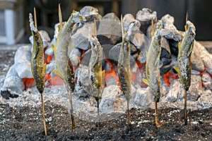 Grilled trout fish at Kegon Waterfall