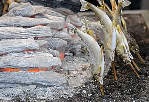 Grilled trout fish for sale at Kegon Waterfall, Nikko,