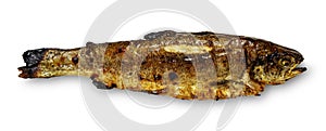 grilled trout isolated