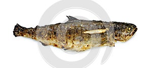 Grilled trout
