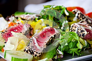 Grilled tuna salad