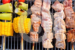 Grilled vegetable and chicken skewers on a hot barbecue