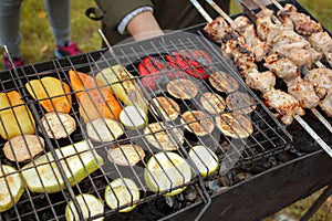 Grilled vegetable and meat skewers in a herb marinade on a grill, cooked in nature, top view
