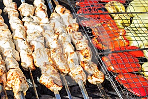 Grilled vegetable and meat skewers in a herb marinade on a grill pan, top view