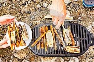 Grilled vegetables on barbecue grill