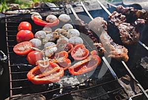 Grilled vegetables, chicken and pork meat on the open fire. Onions, mushrooms, tomatoes and red pepper on the grill grate.