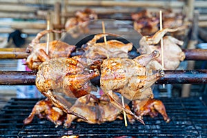 Grilled Whole Marinated Chicken Recipe