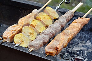Grilling barbecue of fish, potato, pork and lula kebabs