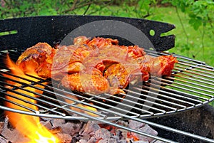 Grilling chicken