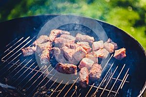 Grilling delicious variety of meat on barbecue charcoal grill.
